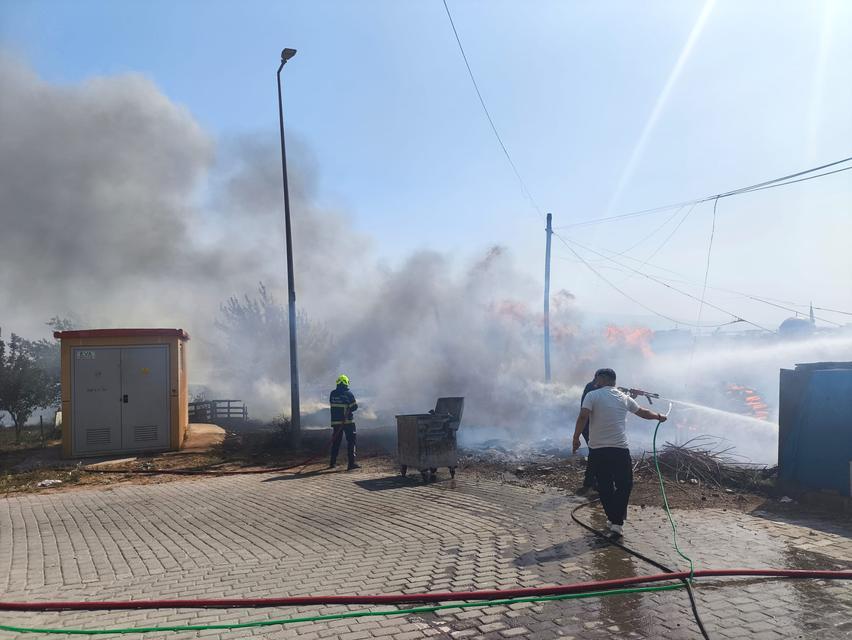 Aydın'da korkutan yangın