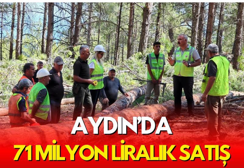 Aydın'da 71 milyon liralık satış