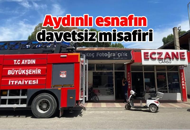 Aydınlı esnafın davetsiz misafiri