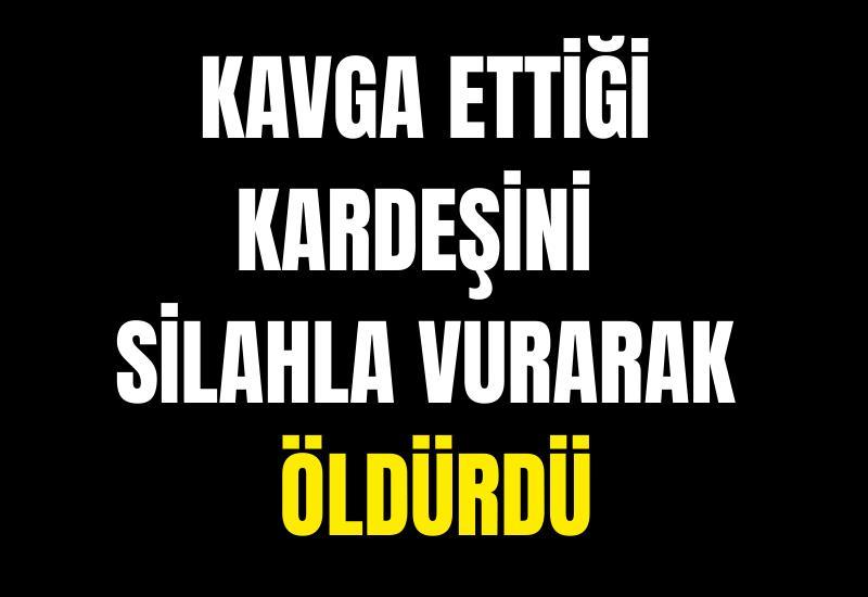 Kavga ettiği kardeşini silahla vurarak öldürdü