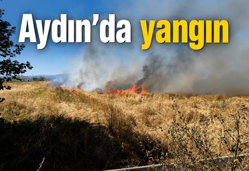 Aydın'da yangın
