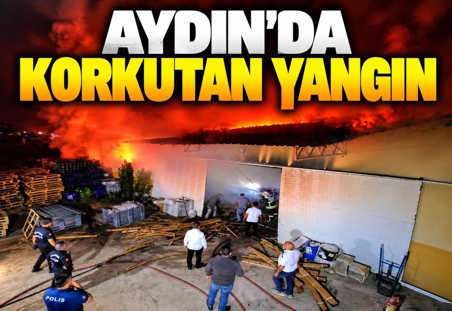 Aydın'da korkutan yangın