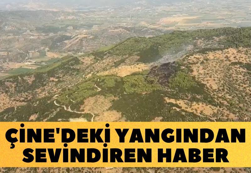 Çine'deki orman yangınından sevindiren haber