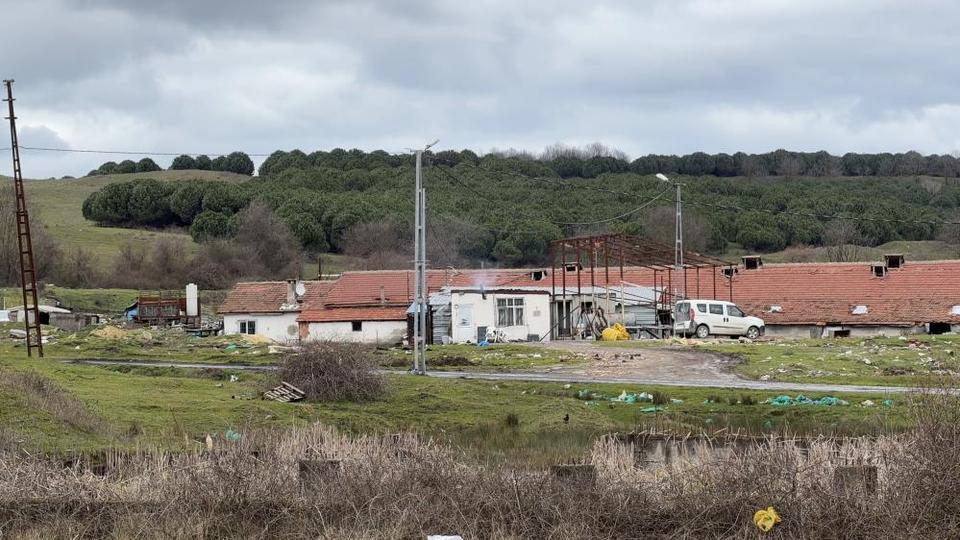 Çiftlik evinde dehşet: Elektrikli testereli saldırı