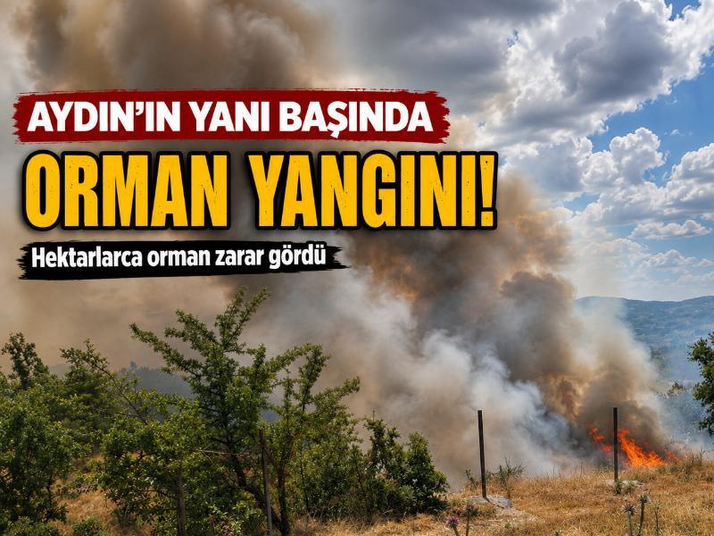 Aydın'ın yanı başında orman yangını! Hektarlarca orman zarar gördü