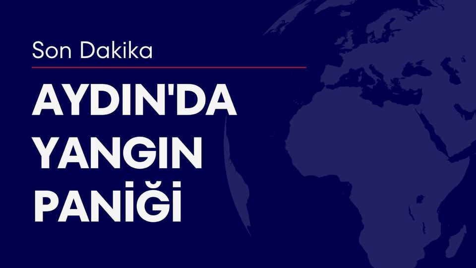 Aydın'da yangın paniği