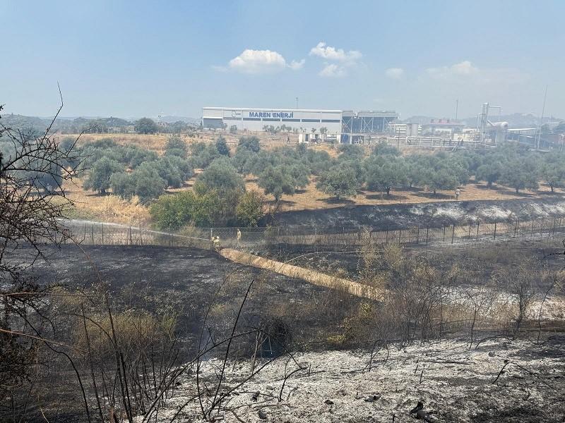 Çift sürülen tarla yangında zarar görmedi