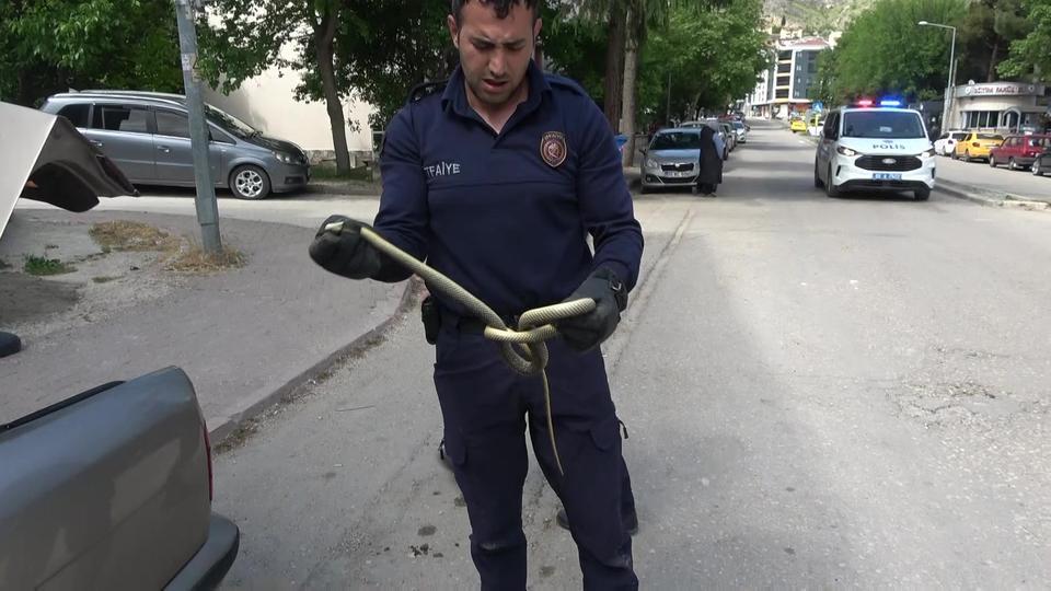 OTOMOBİLİN İÇİNE GİREN 1,5 METRELİK YILANI İTFAİYE ERLERİ YAKALADI