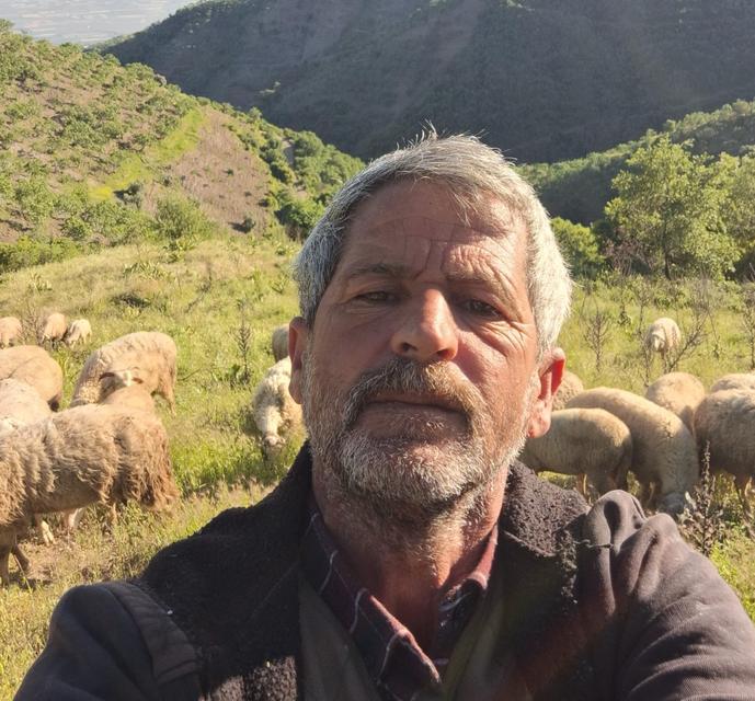 Aydın’da Yörüklerin yayla yolculuğu başladı