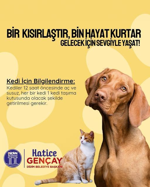 Didim Belediyesi’nden can dostlara hizmet