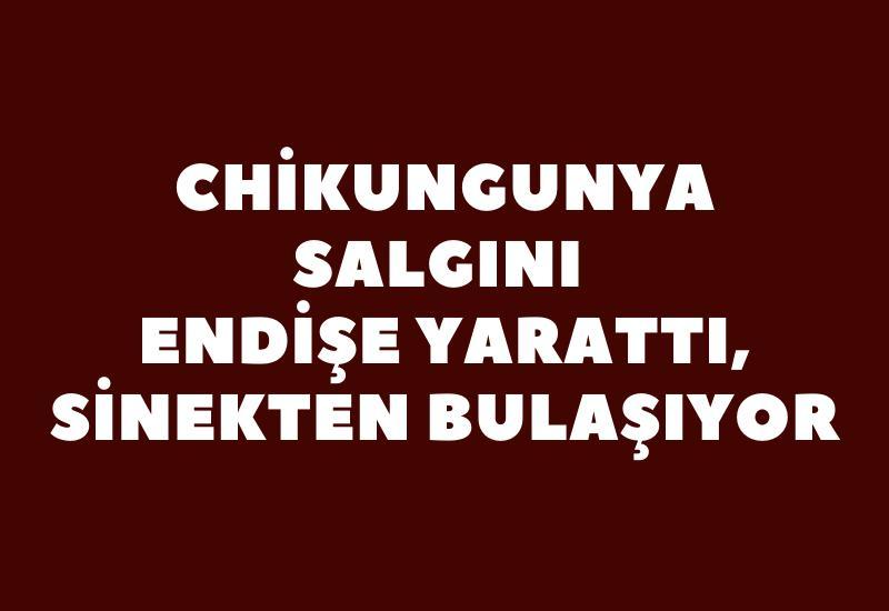 Chikungunya salgını endişe yarattı, sinekten bulaşıyor