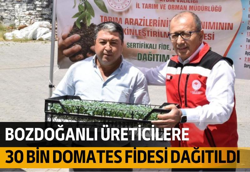Bozdoğanlı üreticilere 30 bin domates fidesi dağıtıldı