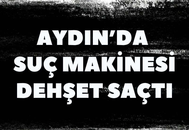 Aydın’da suç makinesi dehşet saçtı