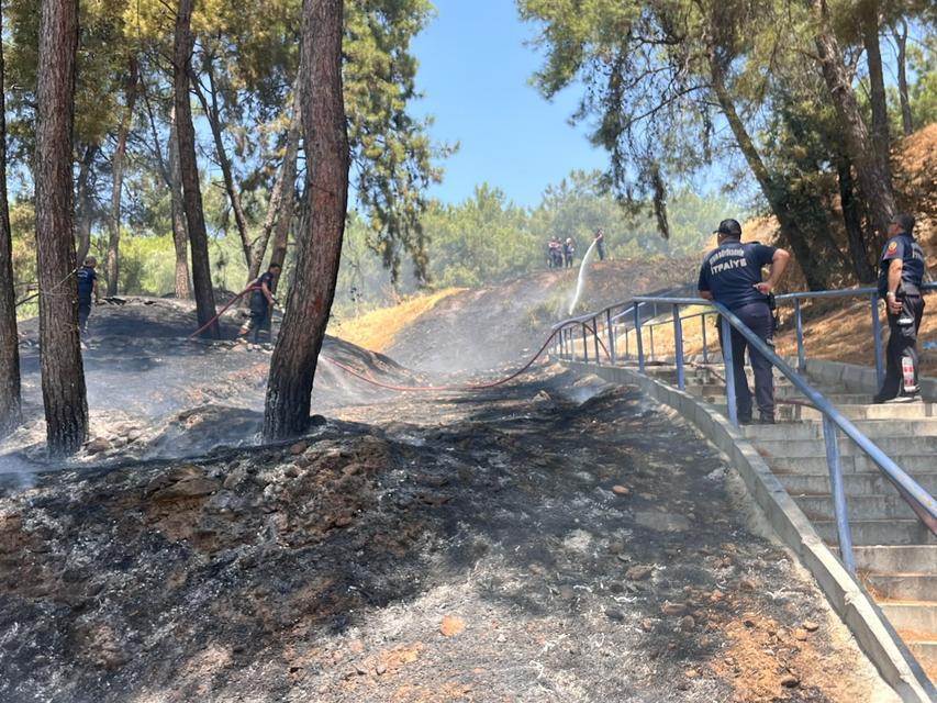 Aytepe Mesire alanındaki yangın söndürüldü