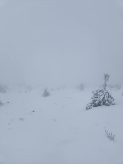 Muğla'da Nisan sürprizi