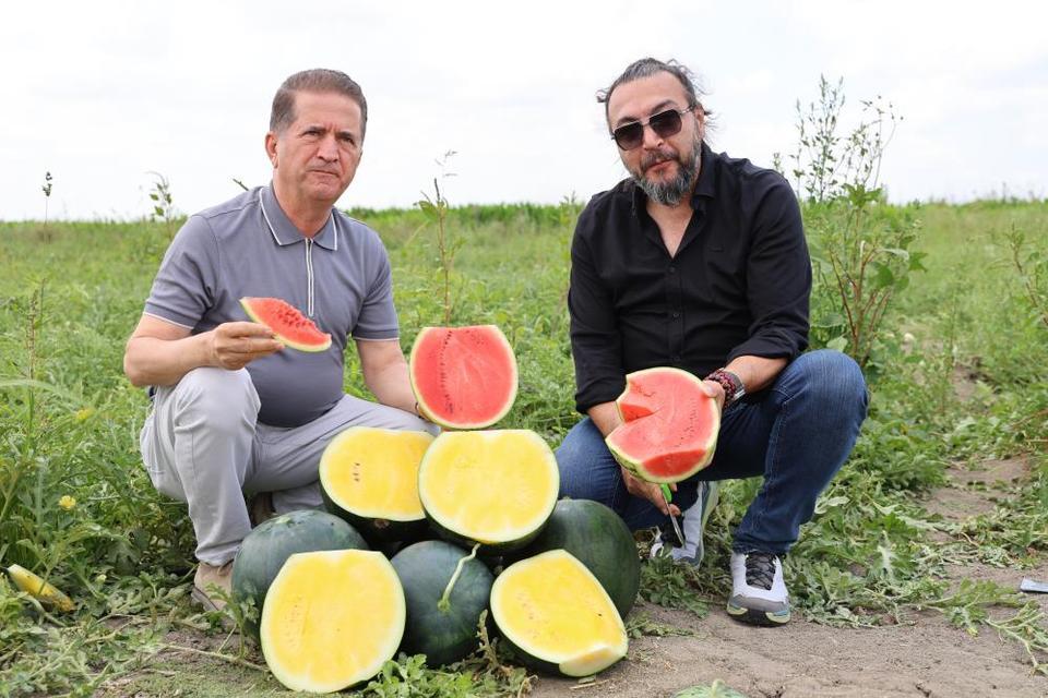 Bu karpuzu görenler hayrete düşüyor