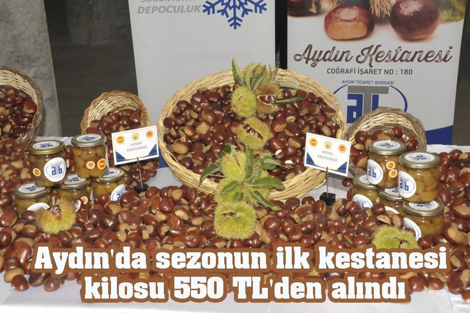 Aydın'da sezonun ilk kestanesi kilosu 550 TL'den alındı