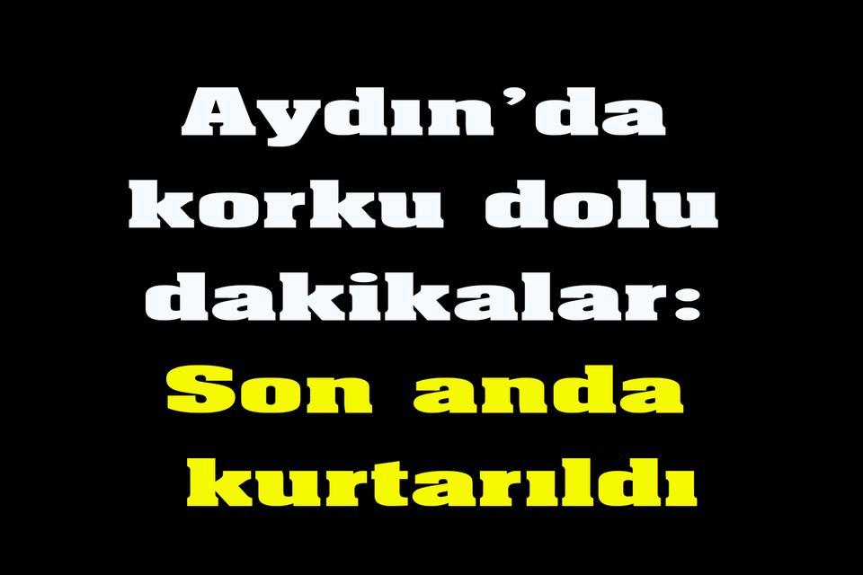 Aydın’da korku dolu dakikalar: Son anda kurtarıldı