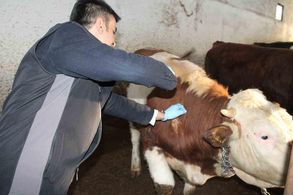 Aydın'da bir mahalle daha karantinaya alındı