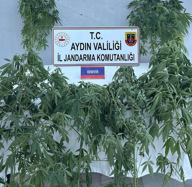 Aydın’da zehir tacirlerine darbe: 16 şüpheli yakalandı
