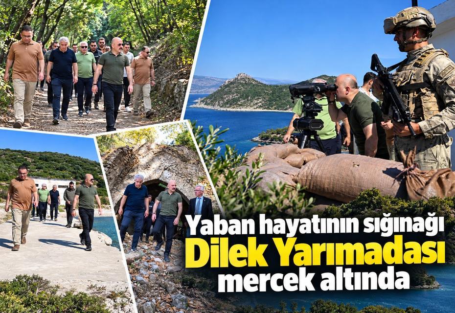Yaban hayatının sığınağı Dilek Yarımadası mercek altında