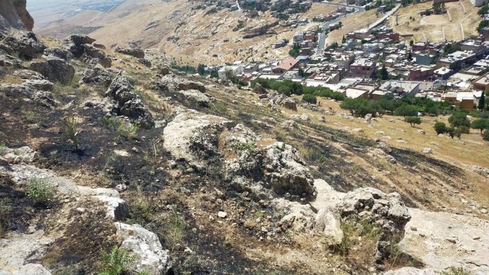 Ormanlık alanda çıkan yangın söndürüldü