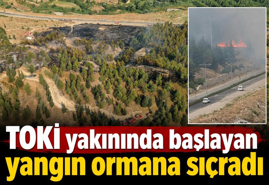 TOKİ yakınında başlayan yangın ormana sıçradı