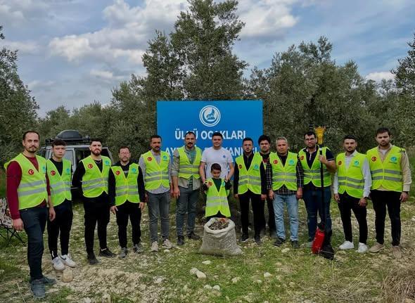 Aydın Ülkü Ocakları zeytin bahçesinde ilk hasadı gerçekleştirdi