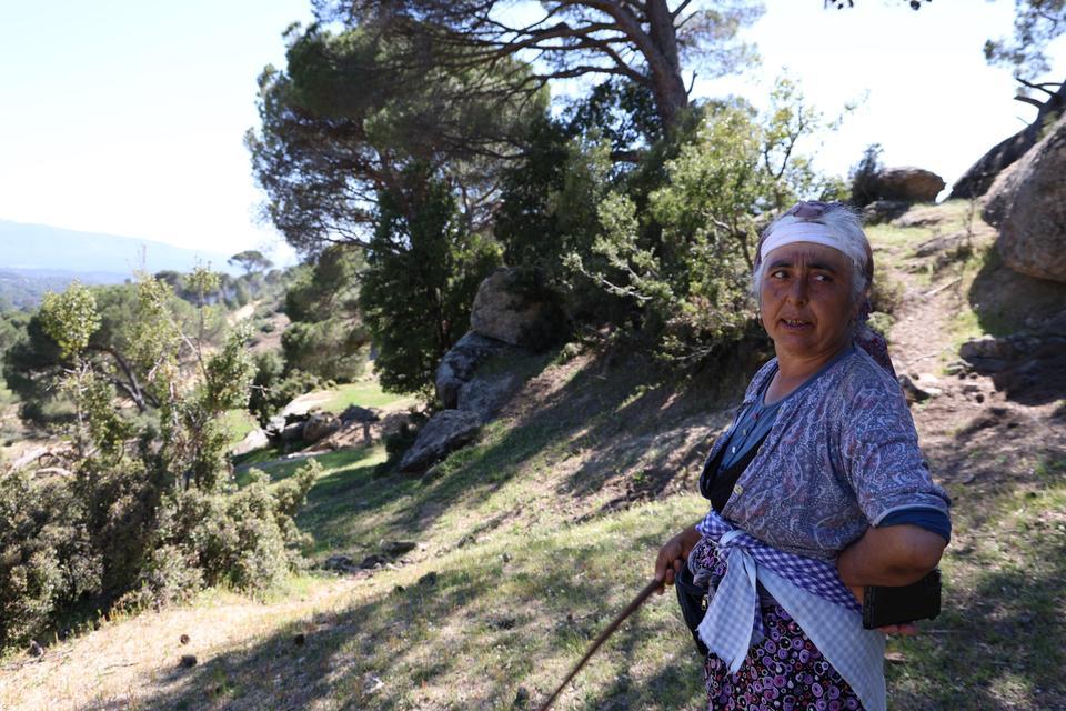 BEŞPARMAK DAĞLARI'NDA ÇOBANLIĞI TERK ETMEYEN SADECE RUKİYE BACI KALDI BÖLGENİN EN GENÇ ÇOBANI 60 YAŞINA MERDİVEN DAYADI