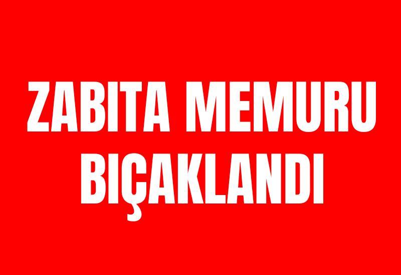 Zabıta memuru bıçaklandı