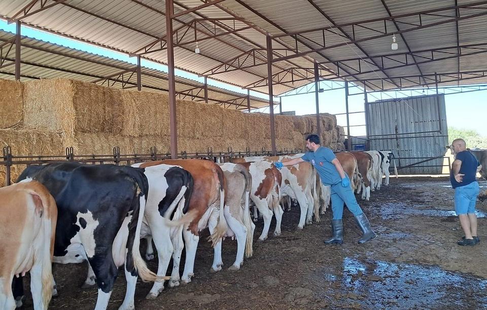 Aydın'da 12 mahalle karantinaya alındı