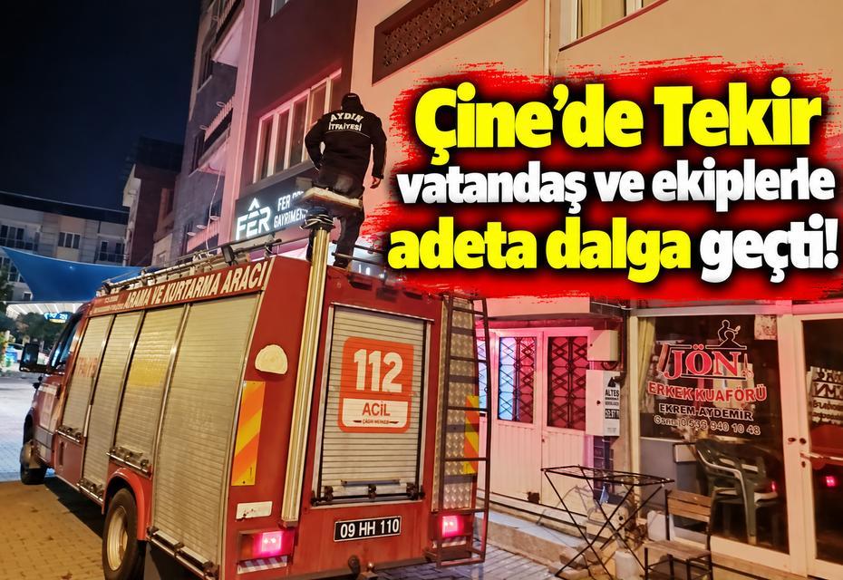Çine'de Tekir vatandaş ve ekiplerle adeta dalga geçti!