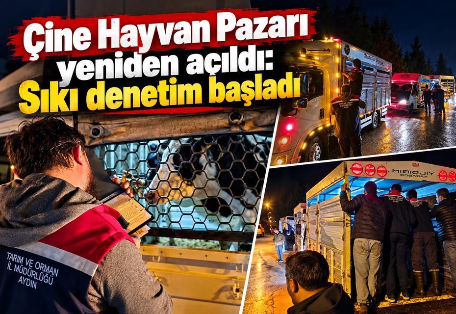 Çine Hayvan Pazarı yeniden açıldı: Sıkı denetim başladı