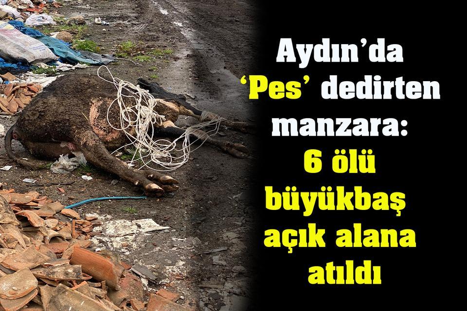 Aydın’da ‘Pes’ dedirten manzara