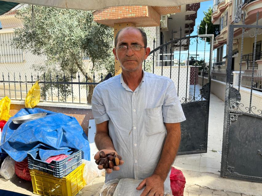 Kışın habercisi kestane Aydın'da tezgaha düştü