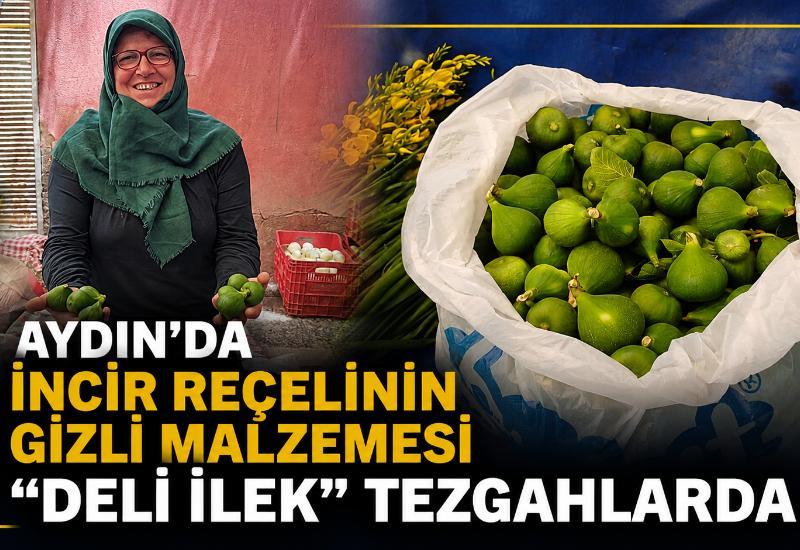 Aydın'da incir reçelinin gizli malzemesi “deli ilek” tezgahlarda