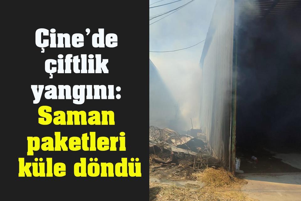 Çine’de çiftlik yangını: Saman paketleri küle döndü