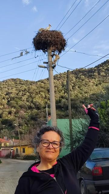 Yazın ilk misafiri, Söke'ye geldi