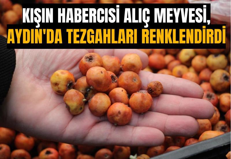 Kışın habercisi alıç meyvesi, Aydın'da tezgahları renklendirdi