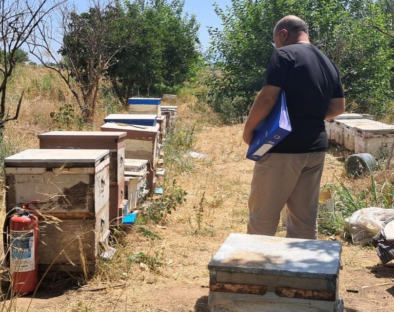 Aydın'da destekten yararlanacaklar için kritik süreç başladı