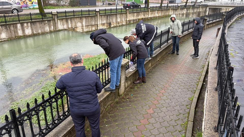 Çayda binlerce ölü bulundu