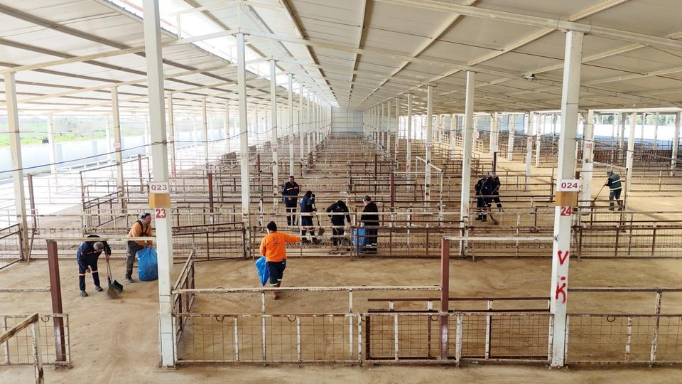 Aydın'ın o ilçesinde hayvan pazarı açılıyor