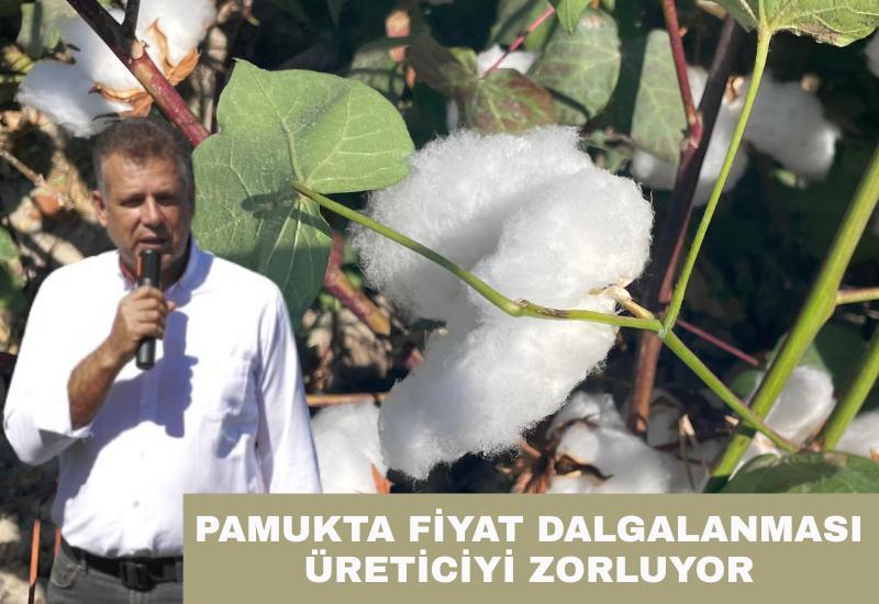 Pamukta fiyat dalgalanması üreticiyi zorluyor