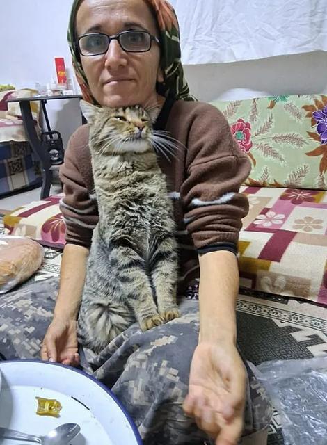 Sebebi şoke etti! Yeğenini boğazından bıçakladı, kardeşi ve damadını ağır yaraladı