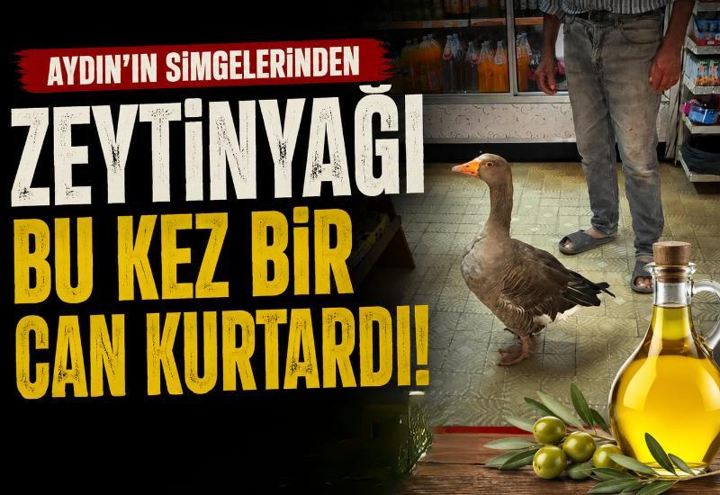 Aydın'ın simgelerinden zeytinyağı bu kez bir can kurtardı