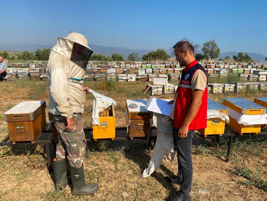 Nazilli’de arı kovanları tek tek kontrol ediliyor