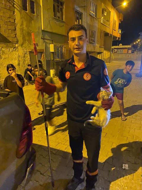 Pano içinde mahsur kalan kedileri itfaiye ekipleri kurtardı