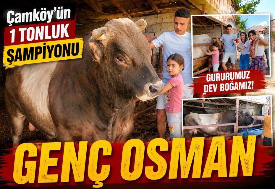 Çamköy’ün 1 tonluk şampiyonu: Genç Osman