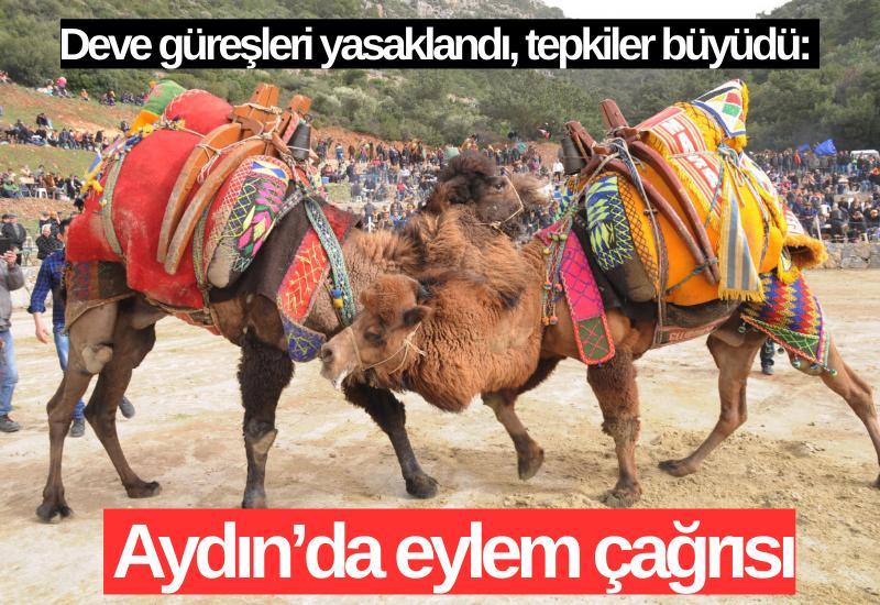 Deve güreşleri yasaklandı, tepkiler büyüdü: Aydın’da eylem çağrısı