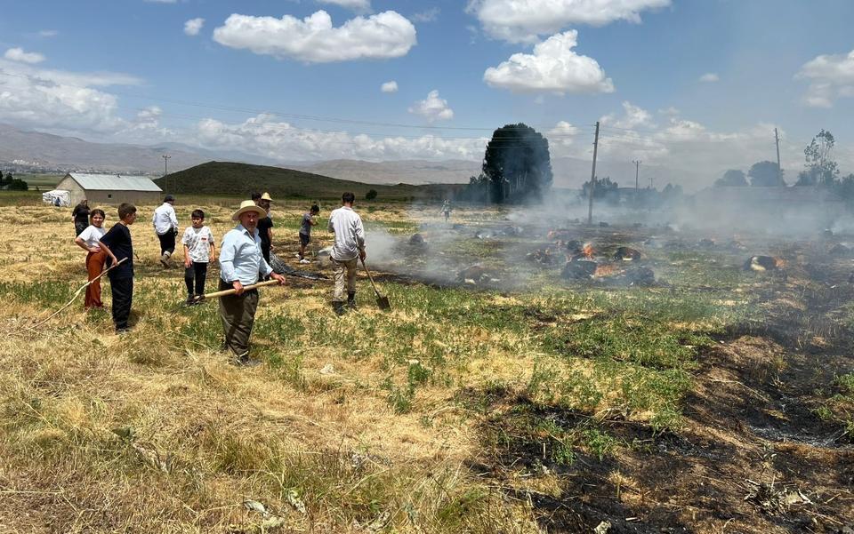Yangında bin 500 bağ ot kül oldu
